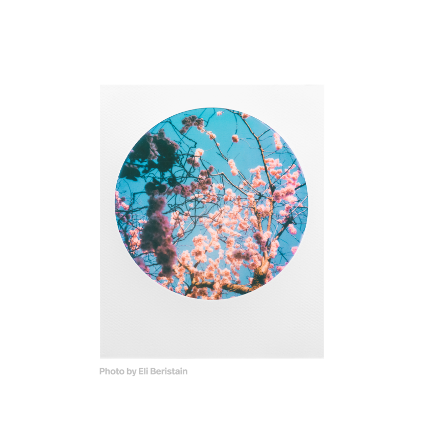 Polaroid Originals Color 600 Film ‑ Round Frame Edition